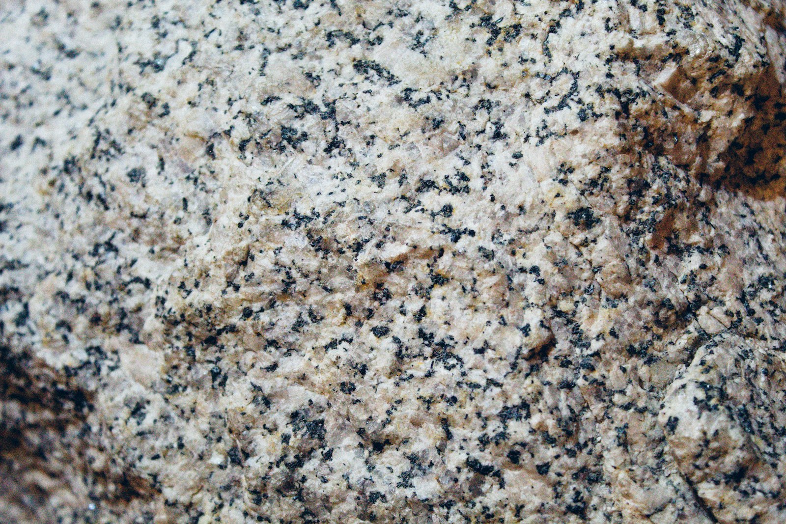 Kitchen countertop samples showing quartz, granite, and marble side by side