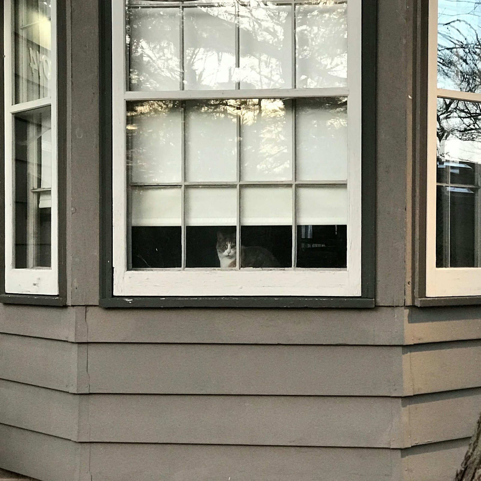 Beautiful renovated home exterior showcasing high-value improvements including new siding and windows